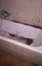 Ants in the bath