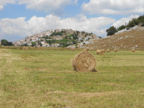 Angel is on far Right Side of the village