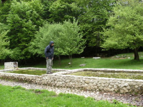 In the BBQ and Picnic Area